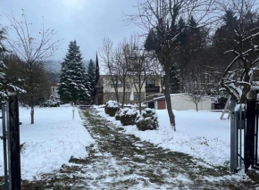 Chata nad Beskidem